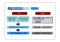 마이크로크레딧에 대한 이해와 사례분석(사회복지 금융 시스템)-9