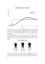 [노년의 성생활] 노화와 성기능 및 성활동, 노년기 성관계 상호작용-7