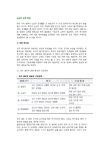 [노년의 성적 적응] 성적 역기능과 대처방안, 독신노인의 성적적응과 노년기(노인) 성생활의 증진-2
