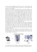 [노년기 가족관계] 노년기(노인)의 부부관계, 부모자녀관계, 형제 및 친척관계-6