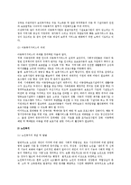 [사회복지서비스] 사회복지서비스의 개념과 주요내용, 전망과 발전과제-4