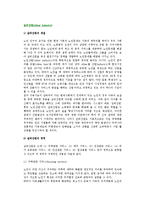 [실버산업] 실버산업의 개념과 영역(서비스) 및 실제(우리나라와 외국의 실버산업)-2