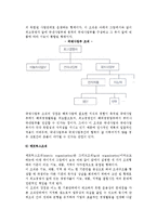 [국제기업] 국제기업의 조직형태와 구조 및 인사관리-4