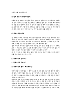 [국제기업] 국제기업의 조직형태와 구조 및 인사관리-6