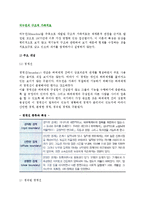 미누친의 구조적 가족치료(개념, 치료목표와 과정, 치료기법)-3