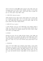 미누친의 구조적 가족치료(개념, 치료목표와 과정, 치료기법)-4