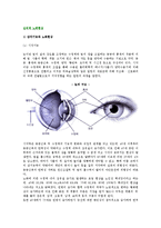 심리적 노화현상(감각기능 및 지능과 노화현상, 노년기의 정서변화와 발달과업)-3