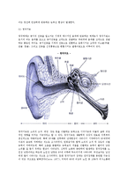 심리적 노화현상(감각기능 및 지능과 노화현상, 노년기의 정서변화와 발달과업)-4