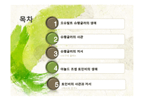 [역사학] 오슈발트 슈팽글러, 아놀드 조셉 토인비-2