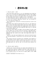 [여가산업] 콘도미니엄의 문제점과 방안-4