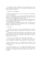 아동비행의 문제점과 해결책-14