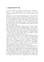 이슬람 원리주의-2