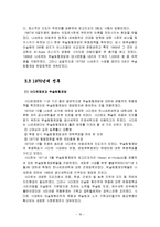 이슬람 원리주의-16