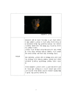 [사회심리학] 사회영향 -인지부조화와 태도변화-14