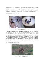 북한 이탈 주민, 탈북자의 현황과 실태-13