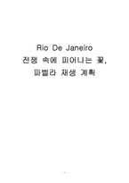 [도시행정] 리우 데 자네이루 도시 파벨라 재생 계획-1