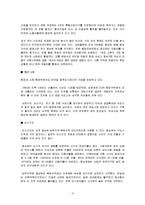 [도시행정] 리우 데 자네이루 도시 파벨라 재생 계획-6