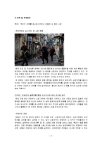 [도시행정] 리우 데 자네이루 도시 파벨라 재생 계획-11