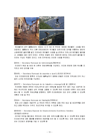 [도시행정] 리우 데 자네이루 도시 파벨라 재생 계획-16