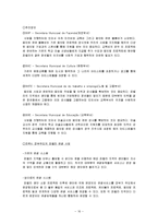 [도시행정] 리우 데 자네이루 도시 파벨라 재생 계획-19