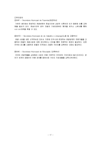 [도시행정] 리우 데 자네이루 도시 파벨라 재생 계획-20