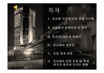 유로화의 과거, 현재 그리고 미래-2