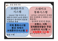 유로화의 과거, 현재 그리고 미래-5