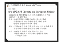 유로화의 과거, 현재 그리고 미래-7