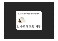 유로화의 과거, 현재 그리고 미래-8