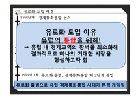 유로화의 과거, 현재 그리고 미래-9