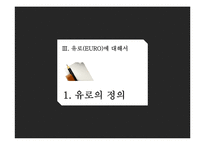 유로화의 과거, 현재 그리고 미래-11