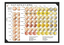 유로화의 과거, 현재 그리고 미래-14