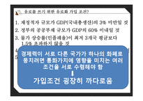 유로화의 과거, 현재 그리고 미래-18