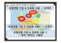 유로화의 과거, 현재 그리고 미래-20