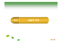 [정책집행관리론] 4대강 정책 집행-10