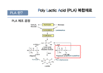 [신소재공학] Poly Lactic Acid(PLA) 복합재료-7