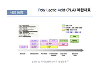[신소재공학] Poly Lactic Acid(PLA) 복합재료-12