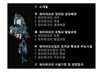 국내 워터파크 산업의 문제점과 개선방안-2