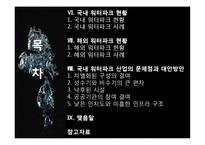 국내 워터파크 산업의 문제점과 개선방안-3