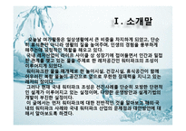 국내 워터파크 산업의 문제점과 개선방안-4