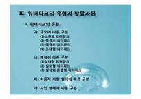 국내 워터파크 산업의 문제점과 개선방안-7