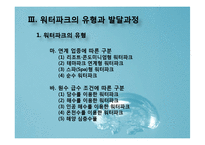 국내 워터파크 산업의 문제점과 개선방안-8