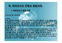 국내 워터파크 산업의 문제점과 개선방안-11