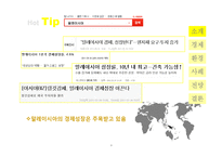 [국제기업환경론] 말레이시아 신흥시장 분석-3
