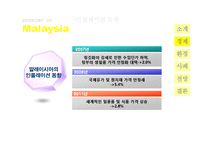 [국제기업환경론] 말레이시아 신흥시장 분석-9