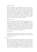 [국제기업환경론] 말레이시아 신흥시장 분석-16