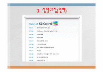 KC 코트렐의 성공사례,마케팅, 마케팅전략, 성공전략, 경영전략분석, 기업소개 및 역사와 특징소개, 비교분석, 성공사례, 해외진출 성공전략,마케팅전략, STP전략, SWOT분석, 4P전략-7