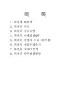 세계를 휩쓴 ‘휘센’에 대한 마케팅 보고서-2