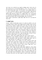 세계를 휩쓴 ‘휘센’에 대한 마케팅 보고서-11