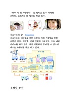 서울 우유의 유통 전략 보고서-5